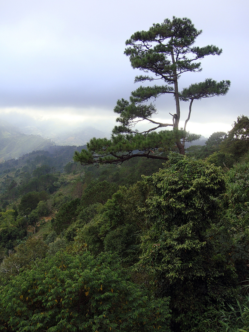 Irgendwo auf dem Weg nach Dalat