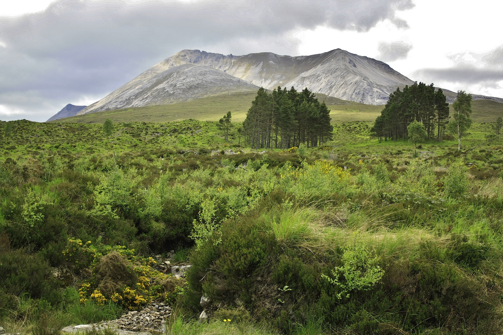 Irgendwo auf dem Weg nach Skye