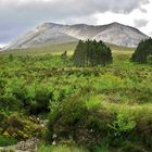 Irgendwo auf dem Weg nach Skye