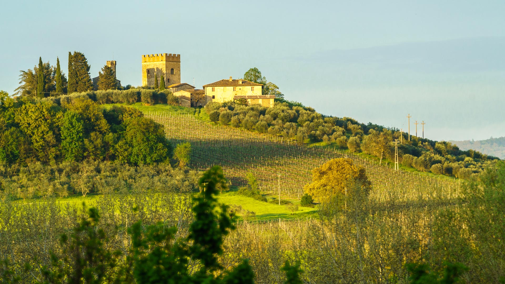 Irgendwo auf dem Weg zwischen Siena und San Gimignano