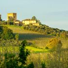 Irgendwo auf dem Weg zwischen Siena und San Gimignano