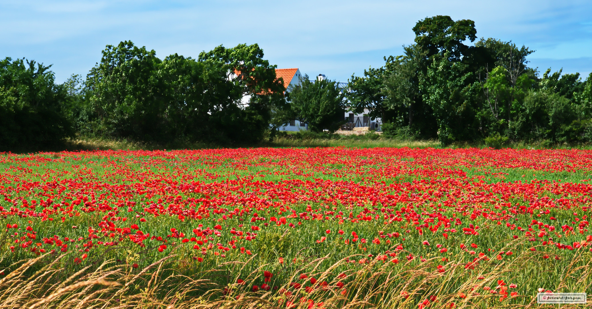 ...irgendwo auf Gotland ...