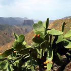 Irgendwo auf Gran Canaria