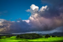 irgendwo auf Kauai