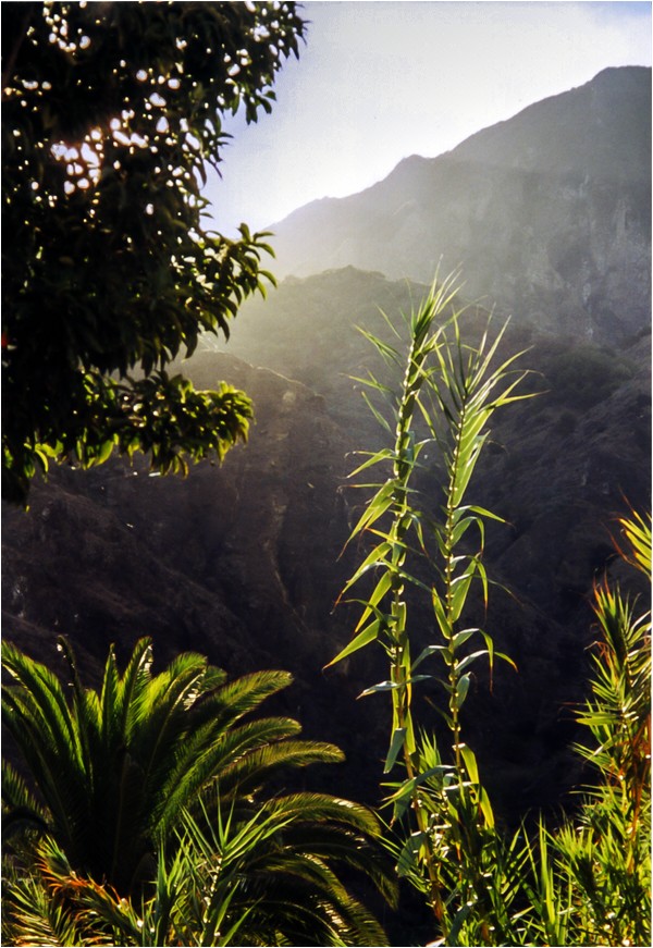 Irgendwo auf La Gomera