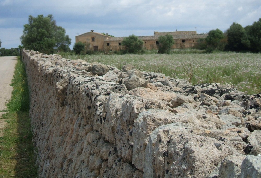 Irgendwo auf Mallorca