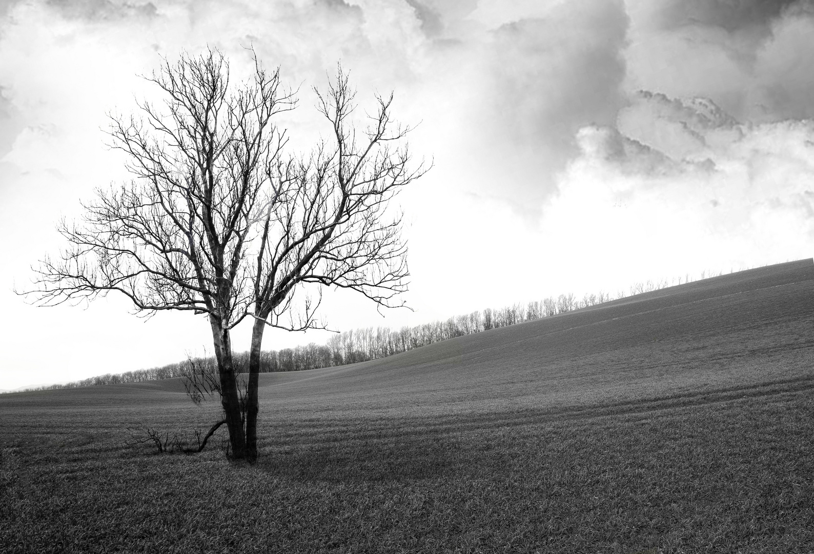 irgendwo auf Rügen