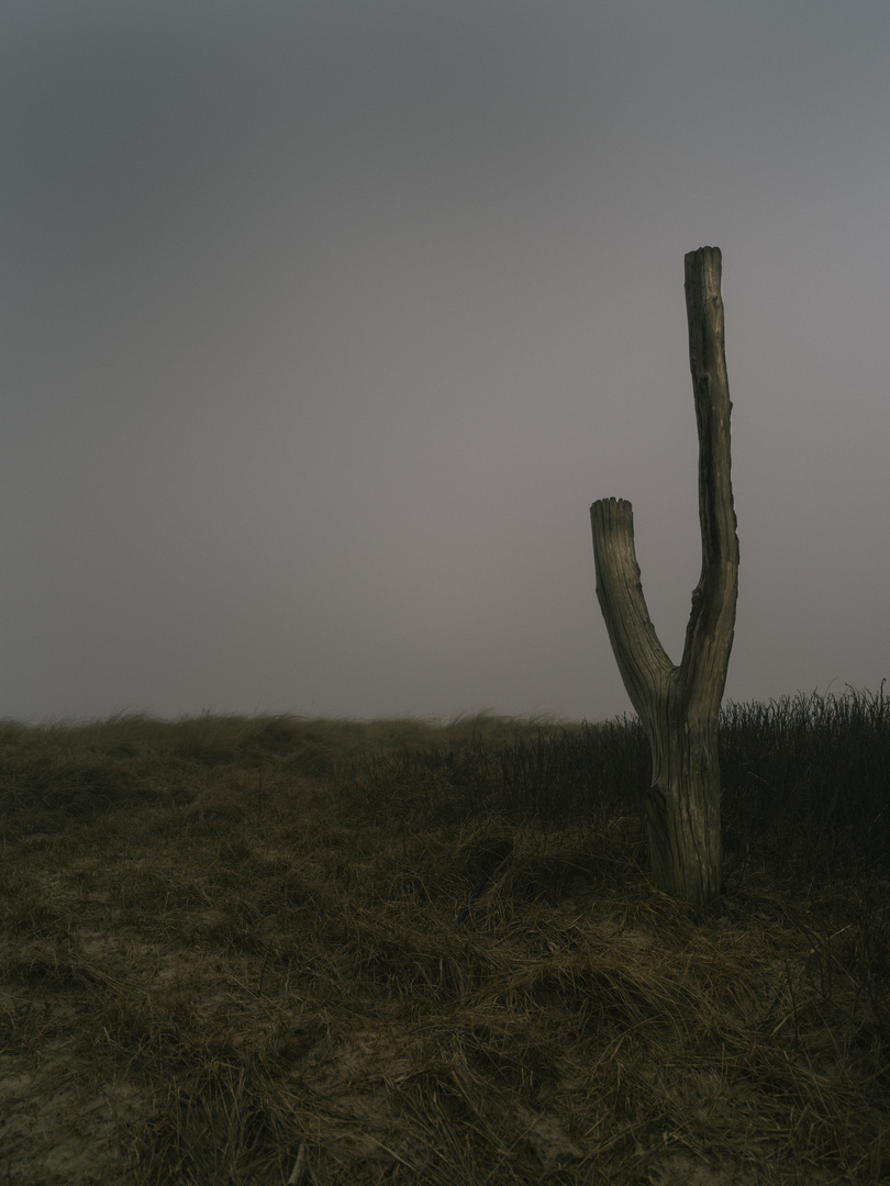 Irgendwo auf Sylt