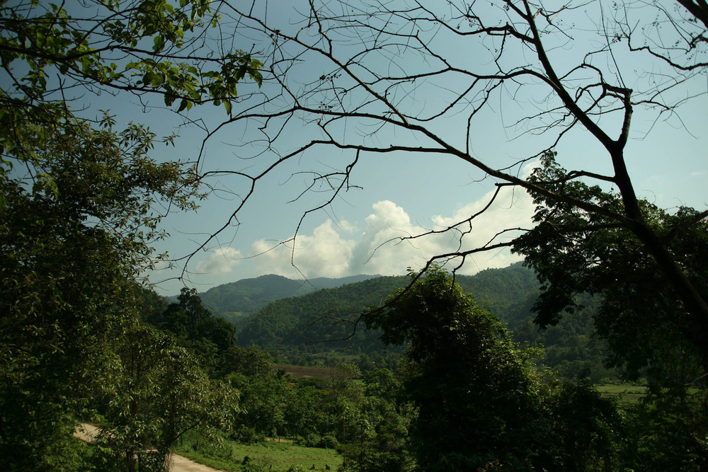 Irgendwo bei Chiang Mai.....