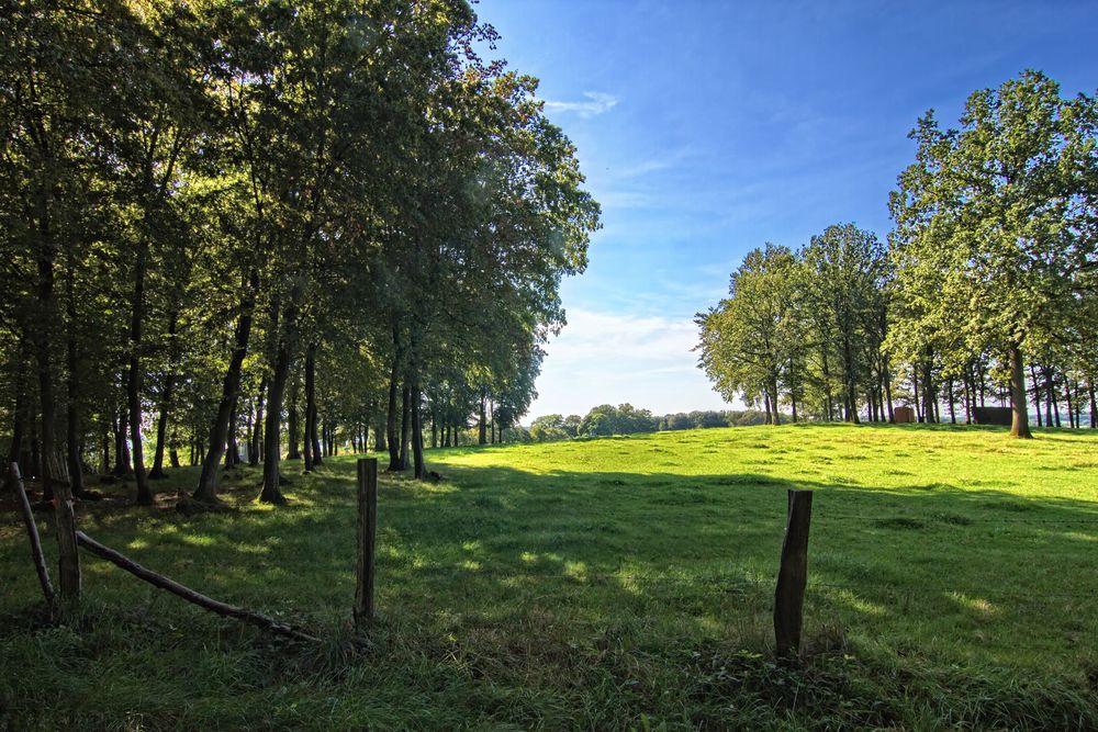 Irgendwo bei Schmitzhöfgen II