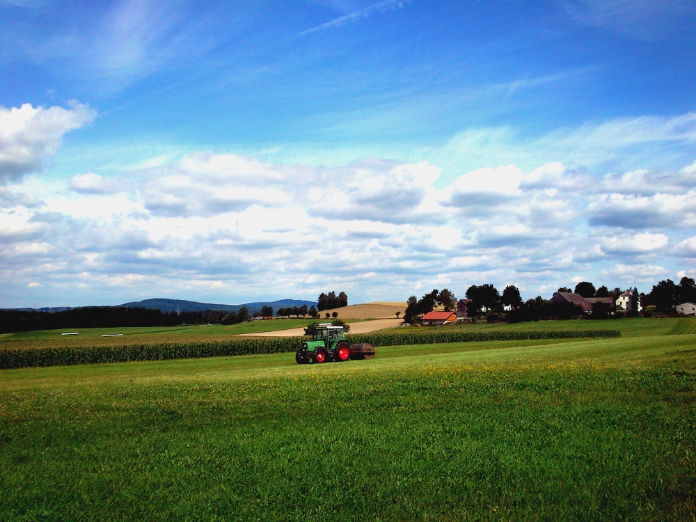 Irgendwo bei Schönsee :-)