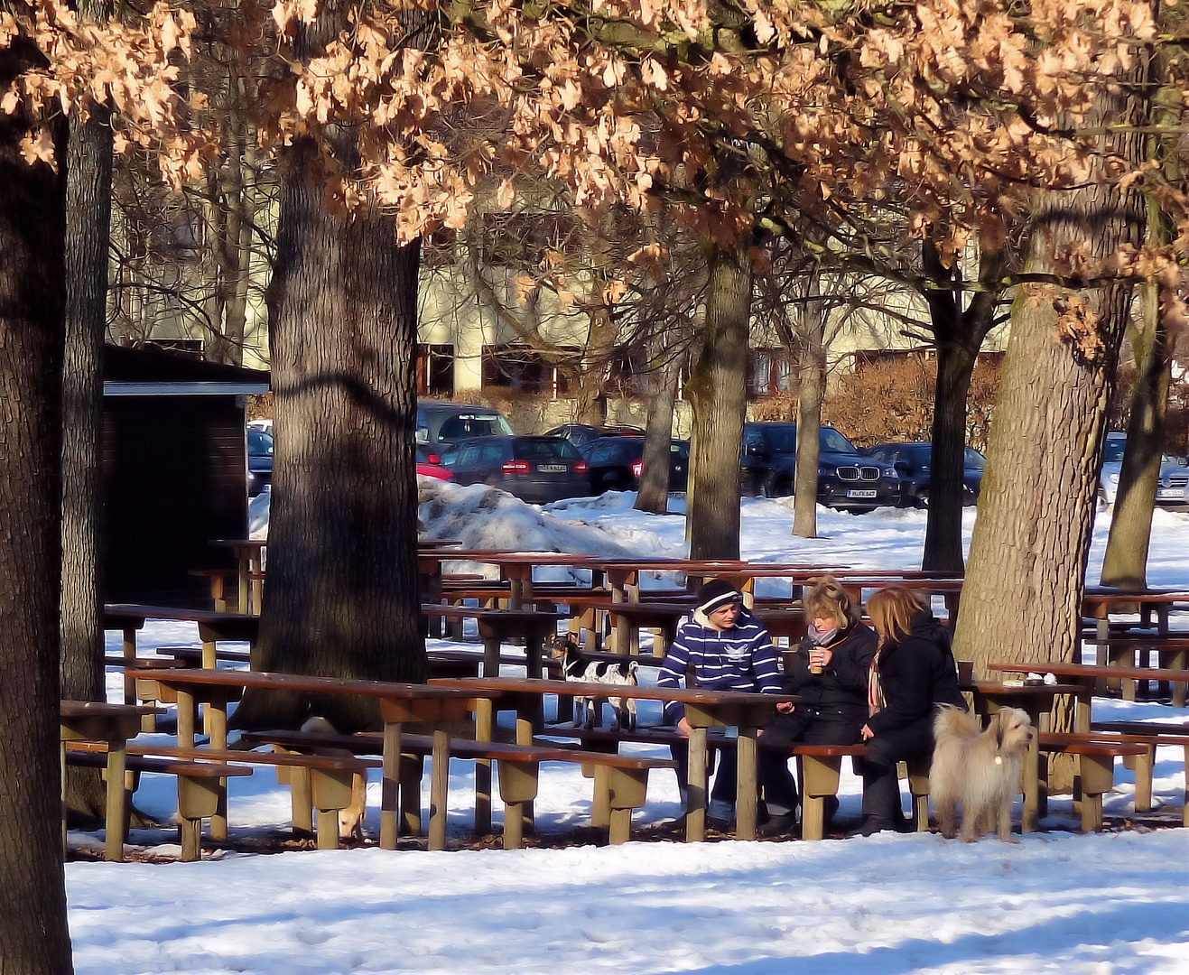 irgendwo brodelt der fasching - hier ist es gemütlich