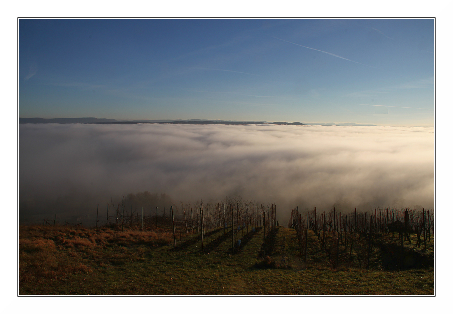 Irgendwo da unten im Nebel...