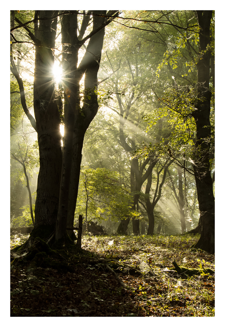 Irgendwo gibt es immer ein Licht