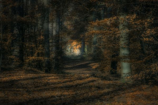 Irgendwo gibt es immer ein Lichtblick