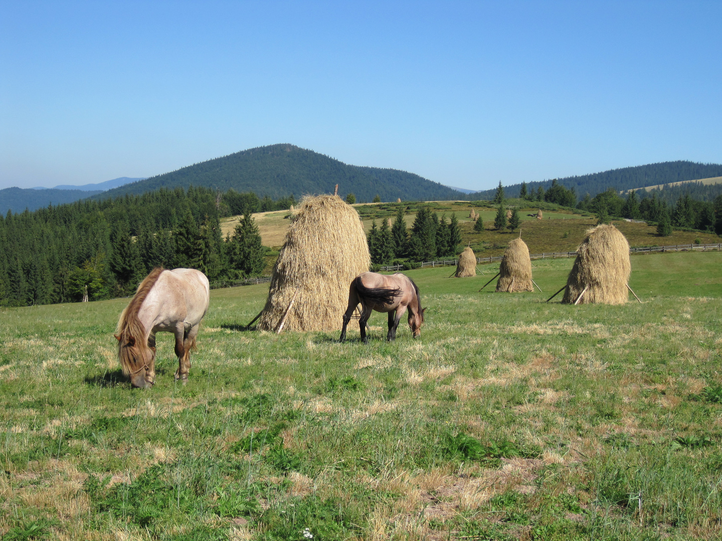 Irgendwo im Apuseni-Gebirge