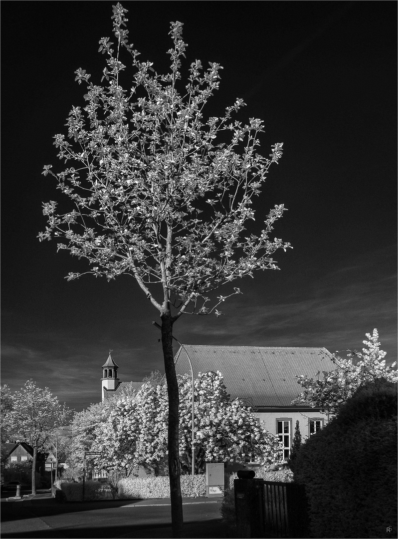 Irgendwo im Dorf