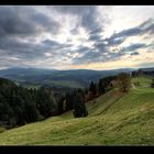 Irgendwo im Emmental II