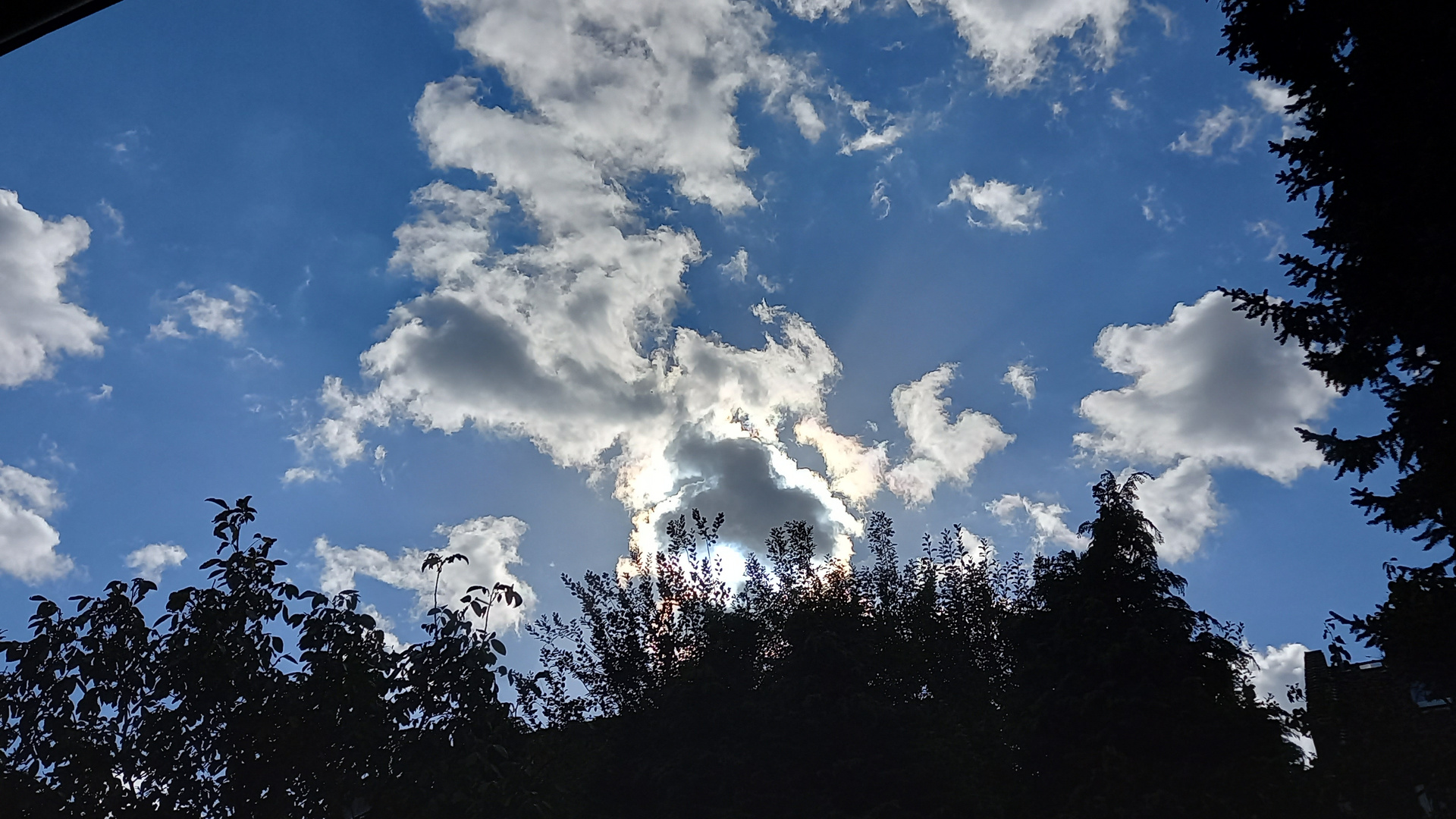 Irgendwo im Gebüsch versteckt sie sich.