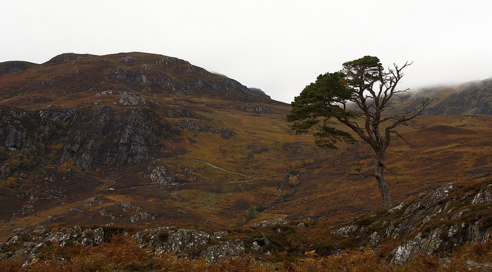 Irgendwo im Glen Strathfarrar ....