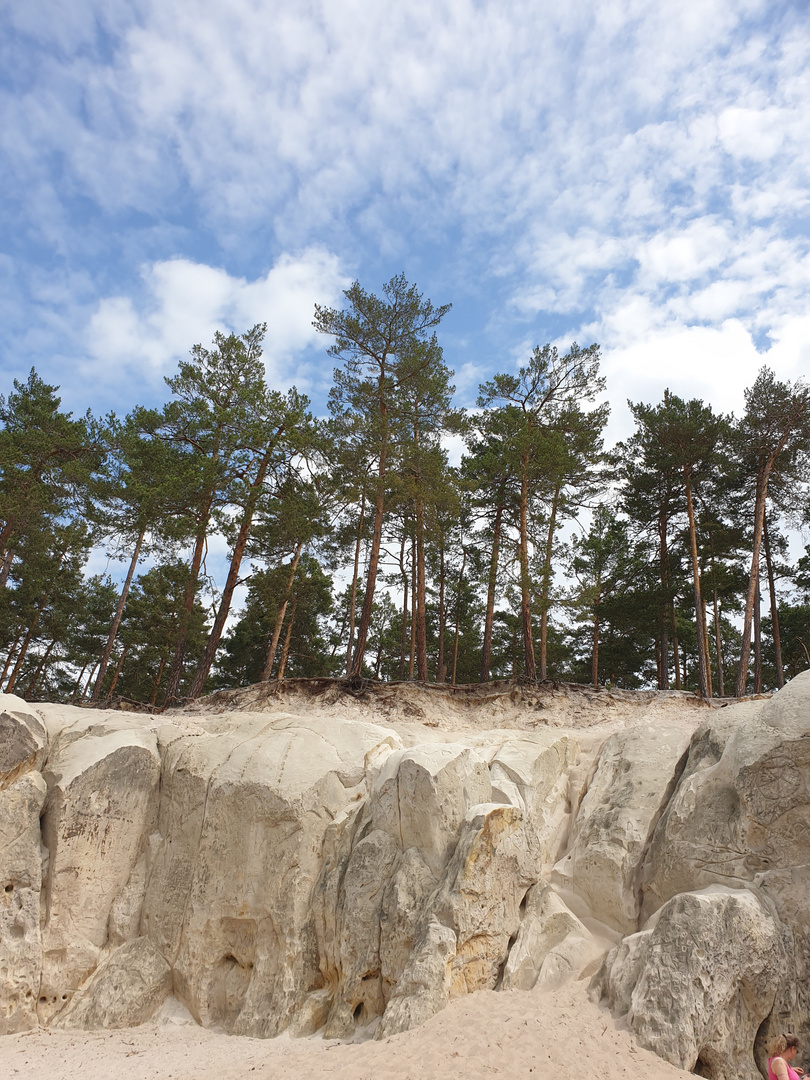 irgendwo im Harz