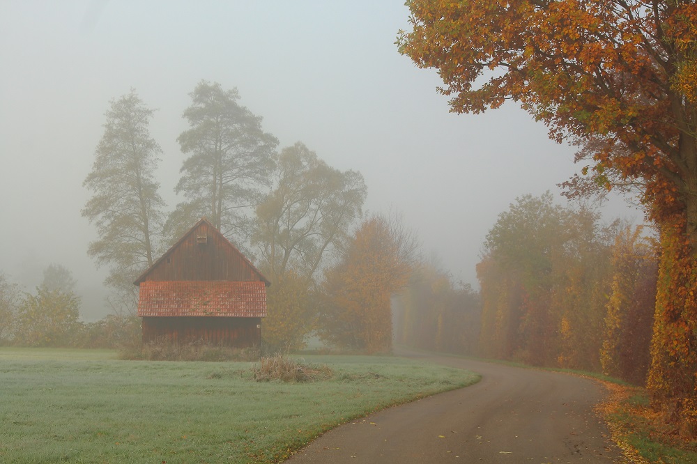 Irgendwo im Herbst