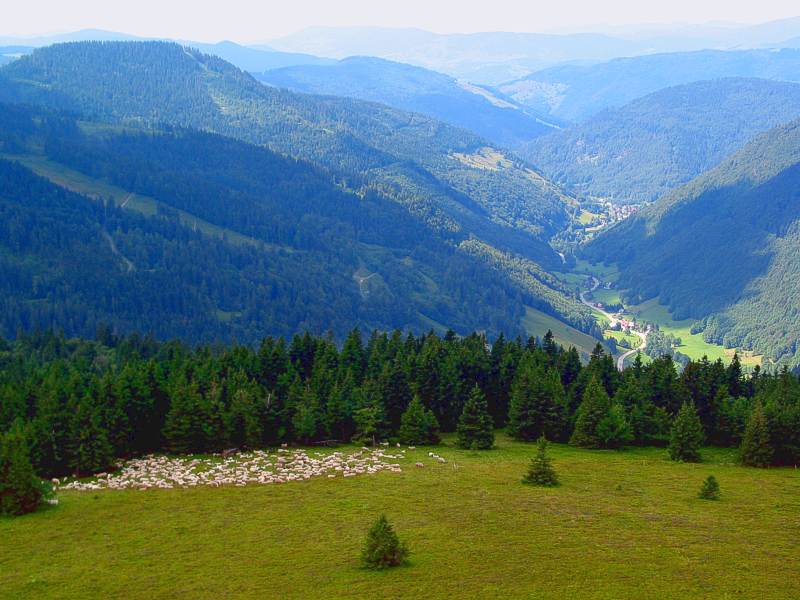 Irgendwo im Hochschwarzwald