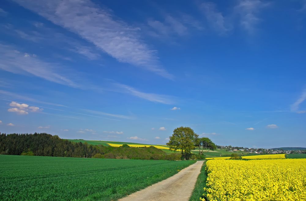 Irgendwo im Hunsrück