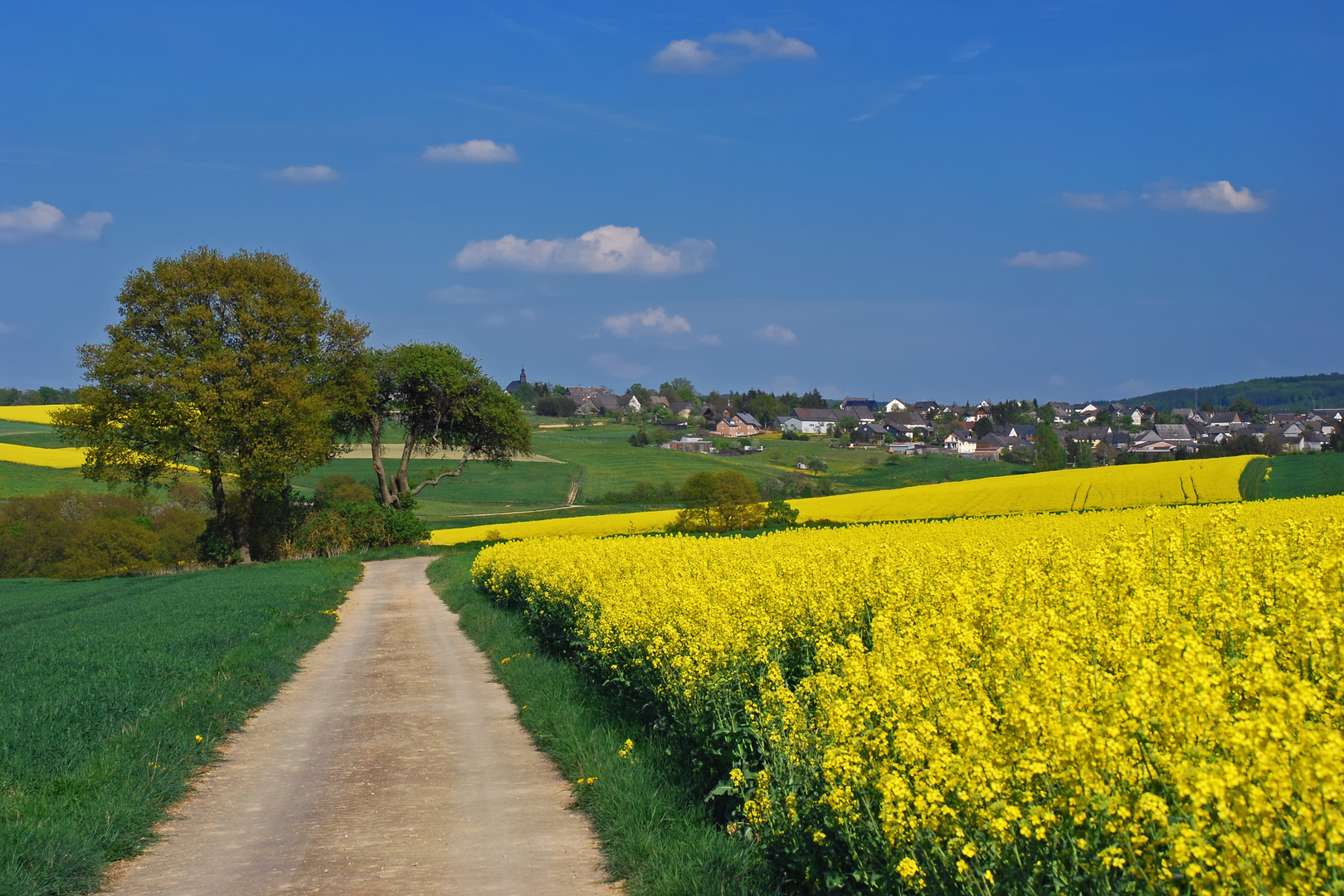 irgendwo im Hunsrück II