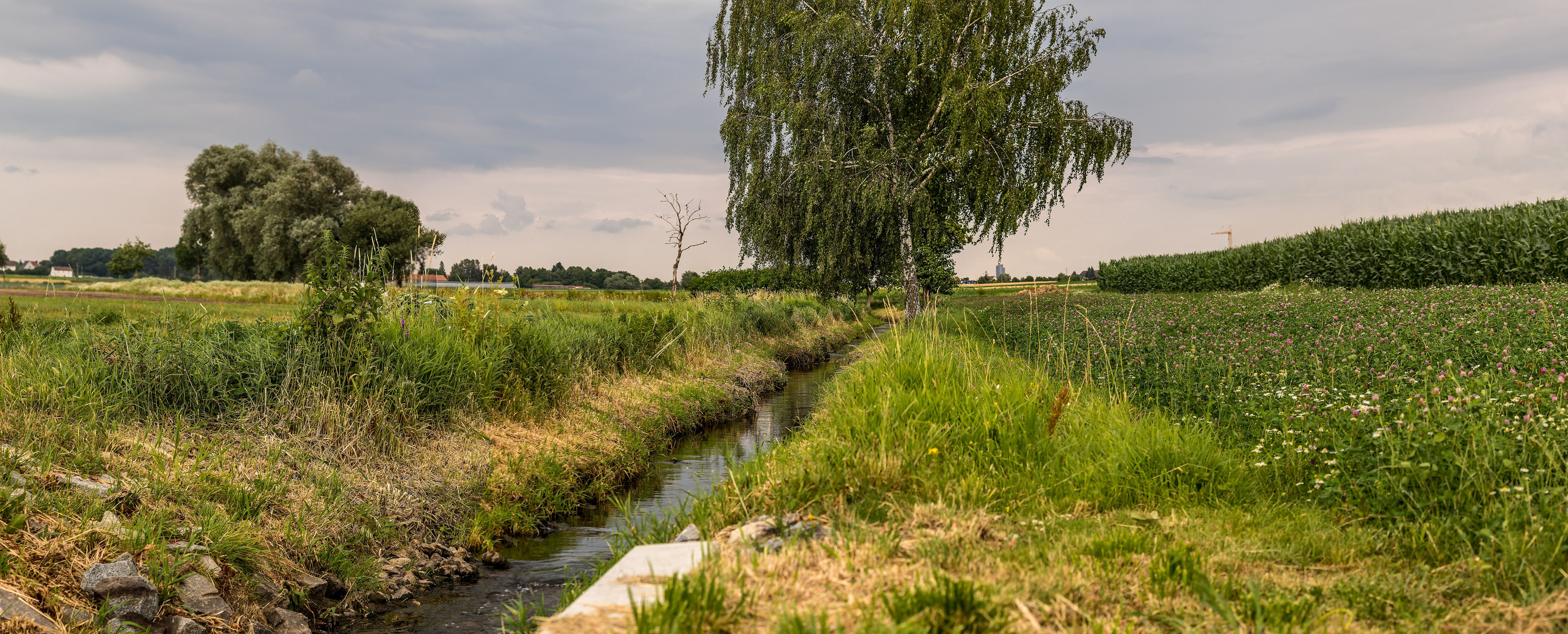 Irgendwo im Knoblauchsland bei Fürth Sack