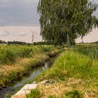 Irgendwo im Knoblauchsland bei Fürth Sack