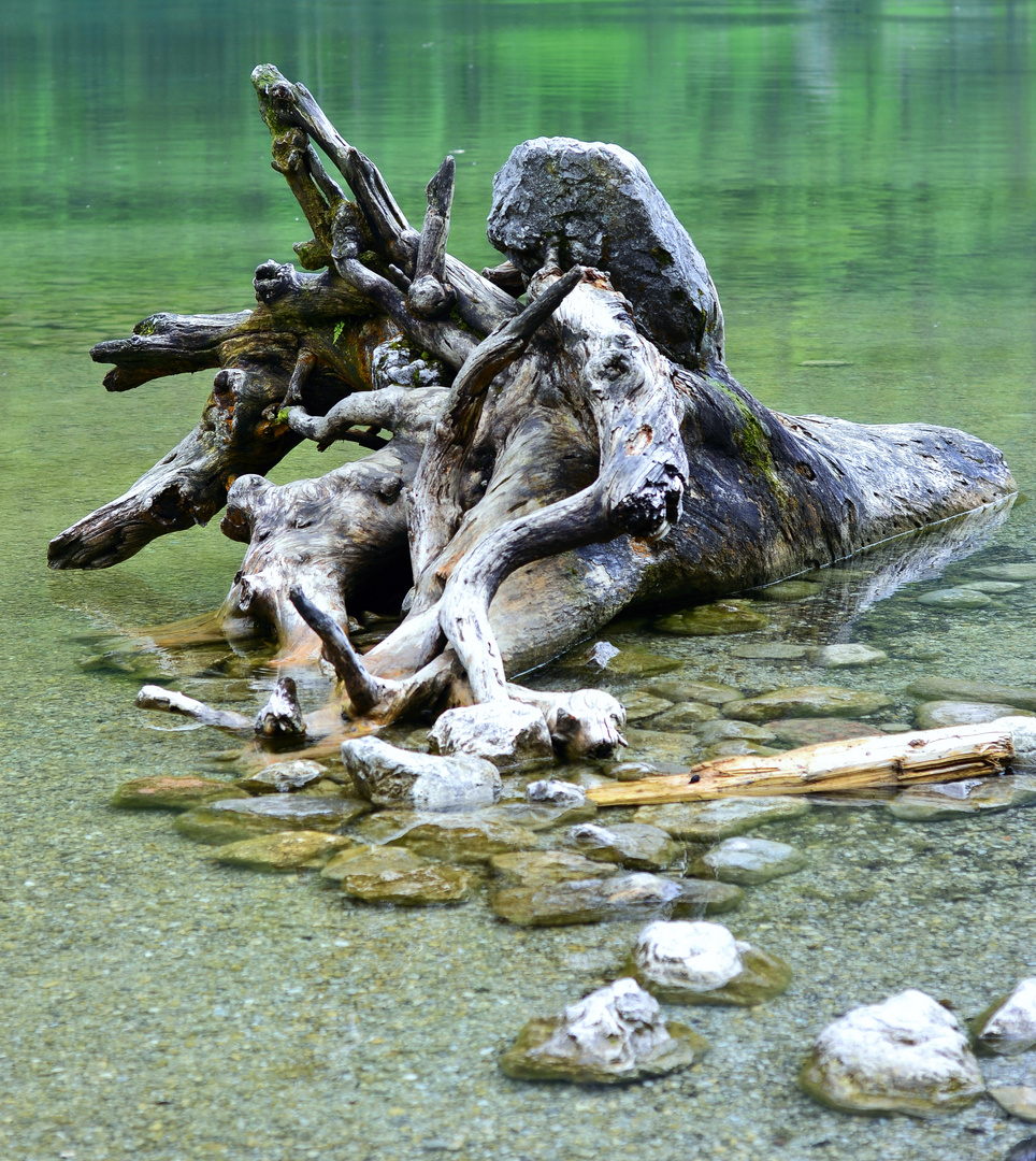 Irgendwo im Königssee