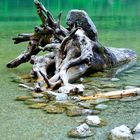 Irgendwo im Königssee