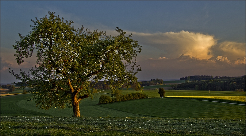 ...irgendwo im Landkreis Mühldorf/Oberbayern