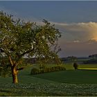 ...irgendwo im Landkreis Mühldorf/Oberbayern