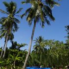 Irgendwo im Mekong-Delta