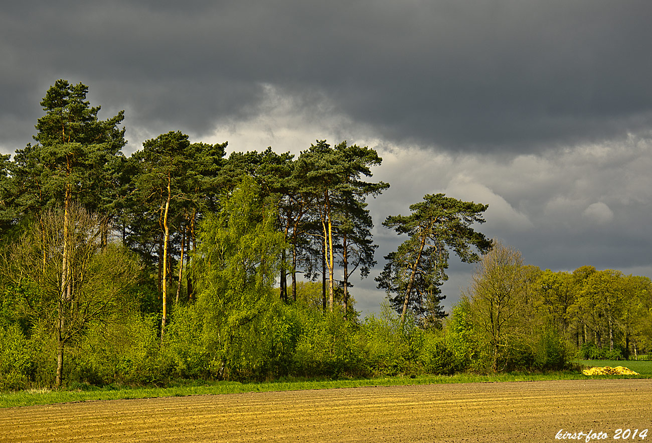 Irgendwo im Münsterland