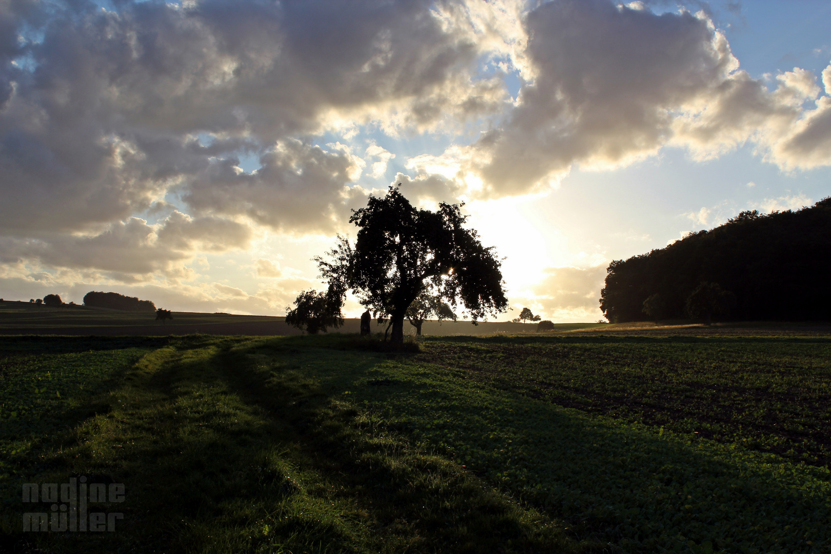 Irgendwo im Nirgendwo