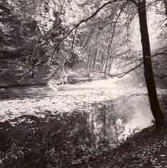 Irgendwo im Odenwald