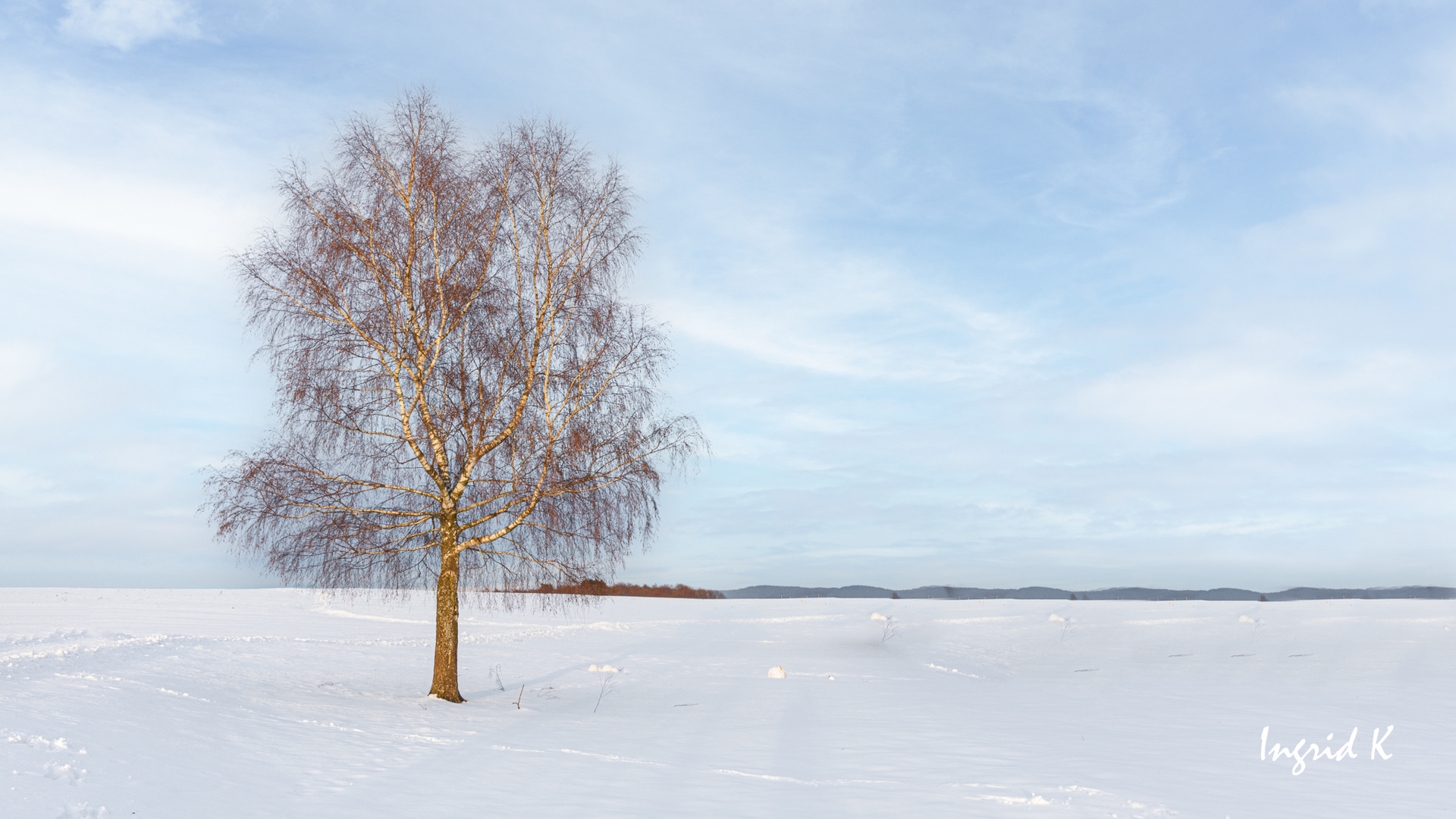 Irgendwo im Odenwald