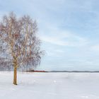 Irgendwo im Odenwald