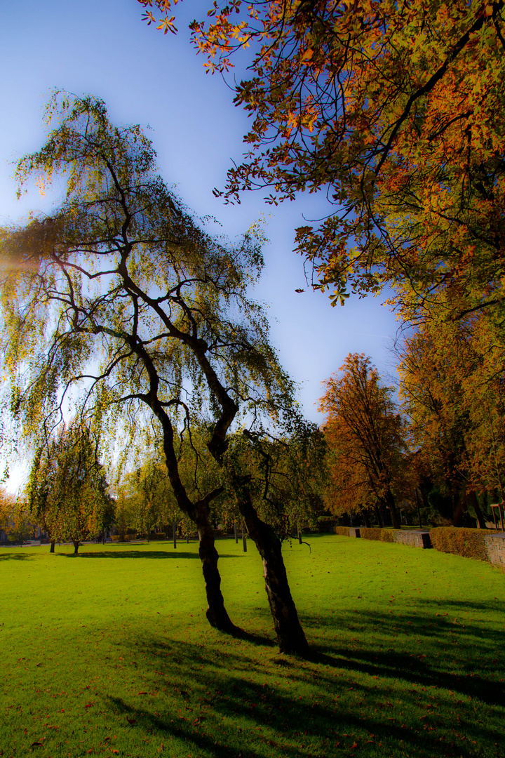 Irgendwo im Park