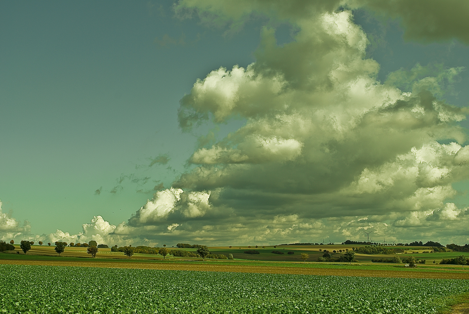 Irgendwo im Sauerland