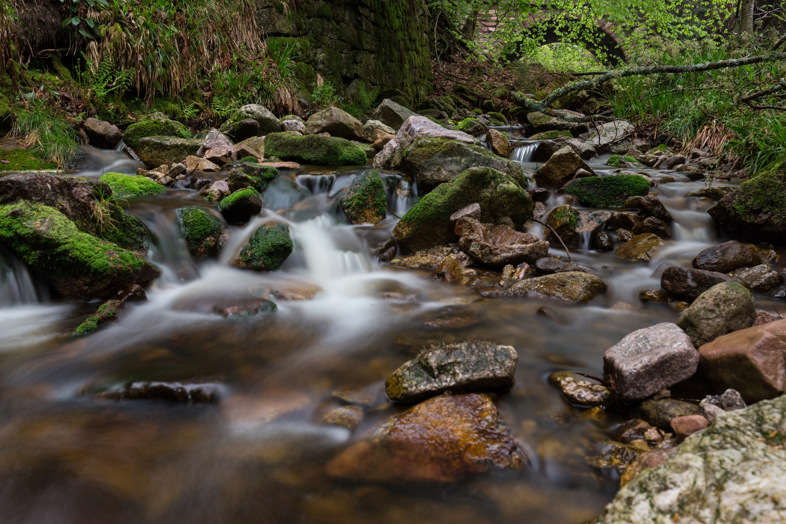 irgendwo im Schwarzwald