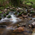 irgendwo im Schwarzwald