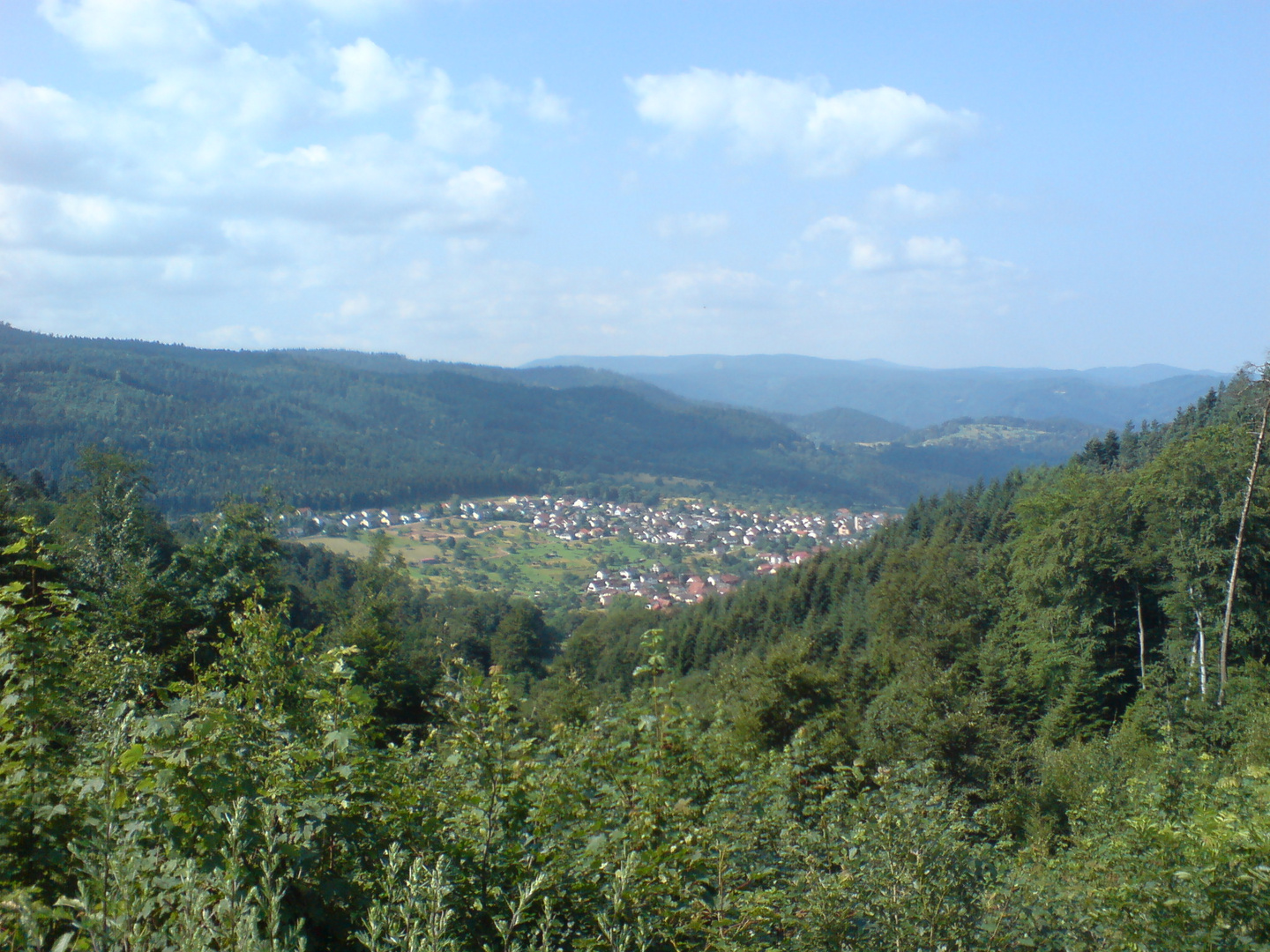 irgendwo im schwarzwald