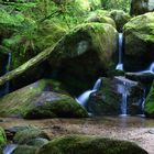 Irgendwo im Schwarzwald