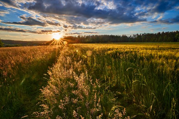 *Irgendwo im Schwarzwald*