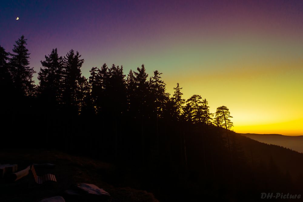 Irgendwo im Schwarzwald 