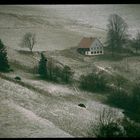 irgendwo im Schwarzwald